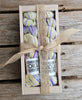 Koigu Sock Crates - P822 | Yarn at Michigan Fine Yarns