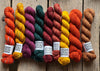 Michigan Fine Yarns Elliot Shawl Yarn Kit (Pre - Order) - Stars Hollow  | Yarn at Michigan Fine Yarns