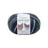 OnLine Supersocke 6 - Ply Merino Color - 3044 4014366220251 | Yarn at Michigan Fine Yarns
