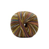 OnLine Supersocke 6 - Ply Merino Color - 3049 4014366220305 | Yarn at Michigan Fine Yarns