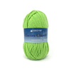 Plymouth Yarns Encore Chunky - 3335 - Rio Lime 843273005088 | Yarn at Michigan Fine Yarns