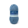 Plymouth Yarns Encore Chunky - 515 - Wedgewood Blue 843273004920 | Yarn at Michigan Fine Yarns