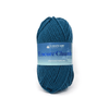Plymouth Yarns Encore Chunky - 598 - Dark Wedgewood 843273004937 | Yarn at Michigan Fine Yarns