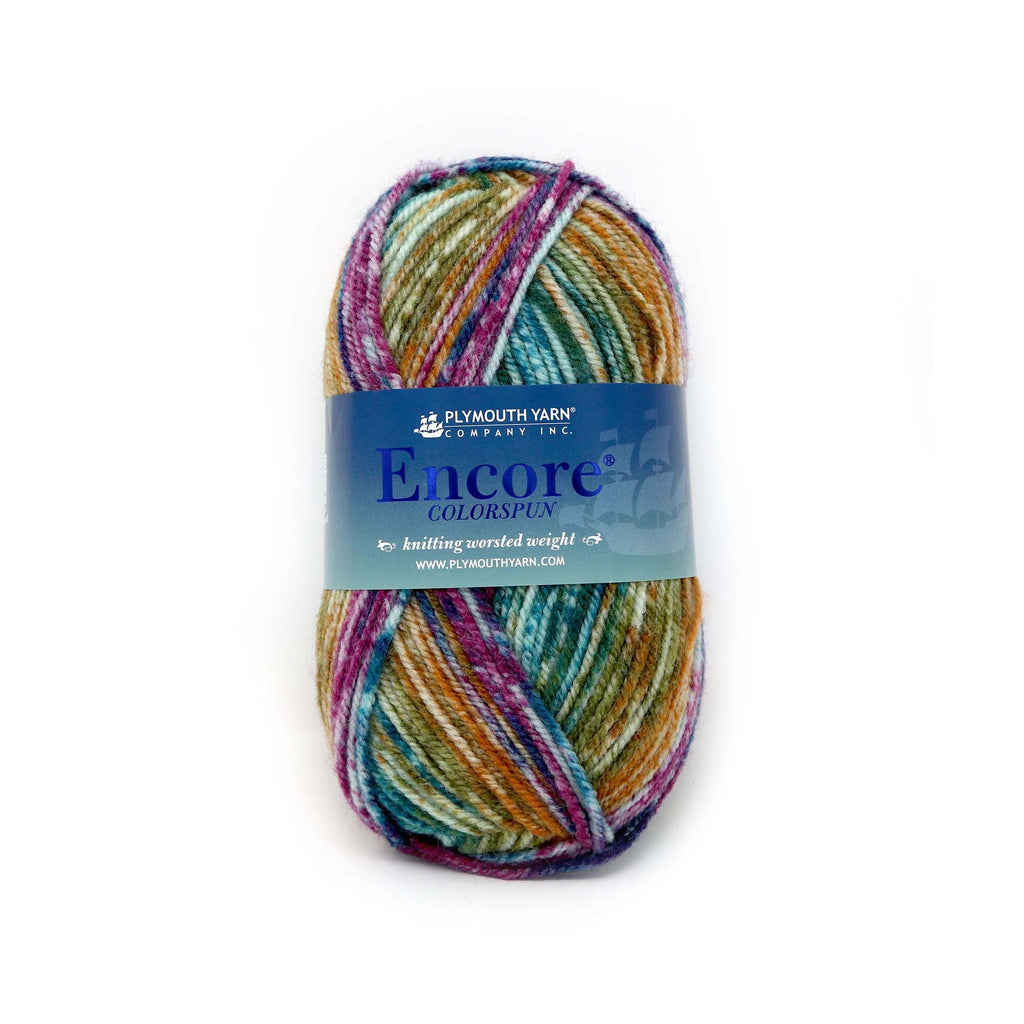 Plymouth Yarns Encore Worsted Colorspun - 7203 - Spectrum Spray 843273054406 | Yarn at Michigan Fine Yarns