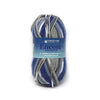 Plymouth Yarns Encore Worsted Colorspun - 8121 - Blue Jeans 843273047590 | Yarn at Michigan Fine Yarns