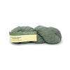 Plymouth Yarns Worsted Merino Superwash - 35 - Sage 843273020180 | Yarn at Michigan Fine Yarns