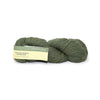 Plymouth Yarns Worsted Merino Superwash - 81 - Green 843273047248 | Yarn at Michigan Fine Yarns
