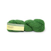 Plymouth Yarns Worsted Merino Superwash - 84 - Fern 843273049037 | Yarn at Michigan Fine Yarns
