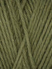 Queensland Coastal Cotton - 1007 - Moss 841275179370 | Yarn at Michigan Fine Yarns