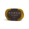 Rowan BIG Big Wool - 218 - Pear | Yarn at Michigan Fine Yarns
