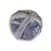 Schoppel Wolle Zauberball Stärke 6 - 2427 - Foehn Weather 4250331335166 | Yarn at Michigan Fine Yarns