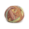 Schoppel Wolle Zauberball Stärke 6 - 2545 - Early Autumn | Yarn at Michigan Fine Yarns