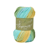 Hayfield Spirit Chunky