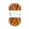 West Yorkshire Spinners Signature 4-ply -885 - Autumn Leaves 5053682068856 | Yarn at Michigan Fine Yarns