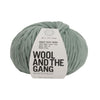 Wool And The Gang Crazy Sexy Wool - Eucalyptus Green | Yarn at Michigan Fine Yarns