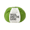 Wool And The Gang Crazy Sexy Wool - Wonderland Green | Yarn at Michigan Fine Yarns