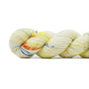 Madelinetosh Tosh Merino Light | Yarn at Michigan Fine Yarns