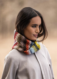 Blue Sky Fibers 27 Color Neck Warmer Kit -00375338 | Kits at Michigan Fine Yarns