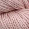 Blue Sky Fibers Back to Nature Hat Kit at Michigan Fine Yarns
