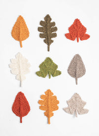 Blue Sky Fibers Fall Leaves Kit -05280042 | Kits at Michigan Fine Yarns