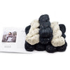 Blue Sky Fibers Kelso Wrap Kit -Alternative Kit 78757162 | Kits at Michigan Fine Yarns