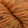 Blue Sky Fibers Portland Cap Kit -3313 - Tiger Lily 68066090 | Kits at Michigan Fine Yarns