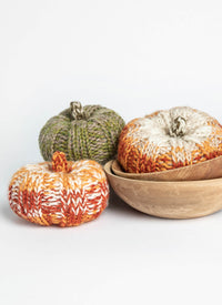 Blue Sky Fibers Pumpkin Patch Kit - 14782762 | Kits at Michigan Fine Yarns