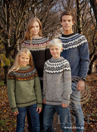 Lopi Afmæli 20th Anniversary Sweater Kit | Kits at Michigan Fine Yarns