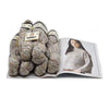 Noro Sia Sweater Kit -1 - Sake | Kits at Michigan Fine Yarns
