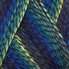 Berroco Berroco Sox at Michigan Fine Yarns