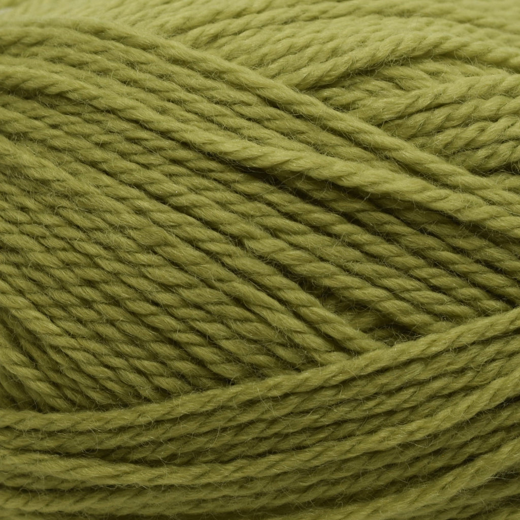 Berroco Vintage Baby -10024 - New Leaf 780335000240 | Yarn at Michigan Fine Yarns
