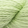 Blue Sky Fibers Organic Cotton Worsted -602 - Honeydew 56358954 | Yarn at Michigan Fine Yarns