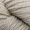 Blue Sky Fibers Woolstok 150 -1312 - Drift Wood 96929578 | Yarn at Michigan Fine Yarns