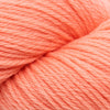 Cascade 220 at Michigan Fine Yarns