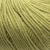 Cascade 220 Superwash -209 - Cedar 886904033746 | Yarn at Michigan Fine Yarns