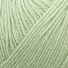 Cascade 220 Superwash -250 - Laurel Green 886904046067 | Yarn at Michigan Fine Yarns
