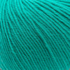 Cascade 220 Superwash -259 - Blue Turquoise 886904051221 | Yarn at Michigan Fine Yarns