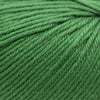Cascade 220 Superwash -352 - Verdant Green 886904016480 | Yarn at Michigan Fine Yarns