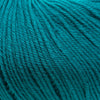 Cascade Yarns 220 Superwash | Yarn at Michigan Fine Yarns