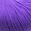 Cascade 220 Superwash -804 - Amethyst 886904000496 | Yarn at Michigan Fine Yarns