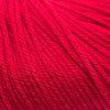 Cascade 220 Superwash -809 - Really Red 886904000533 | Yarn at Michigan Fine Yarns