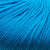 Cascade 220 Superwash -812 - Turquoise 886904000564 | Yarn at Michigan Fine Yarns