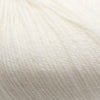 Cascade 220 Superwash -817 - Aran 886904000618 | Yarn at Michigan Fine Yarns