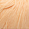 Cascade Yarns 220 Superwash | Yarn at Michigan Fine Yarns