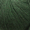 Cascade Yarns 220 Superwash | Yarn at Michigan Fine Yarns