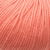 Cascade Yarns 220 Superwash | Yarn at Michigan Fine Yarns