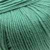 Cascade Yarns 220 Superwash | Yarn at Michigan Fine Yarns