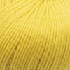 Cascade Yarns 220 Superwash | Yarn at Michigan Fine Yarns