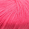 Cascade Yarns 220 Superwash | Yarn at Michigan Fine Yarns