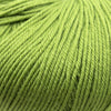 Cascade Yarns 220 Superwash | Yarn at Michigan Fine Yarns